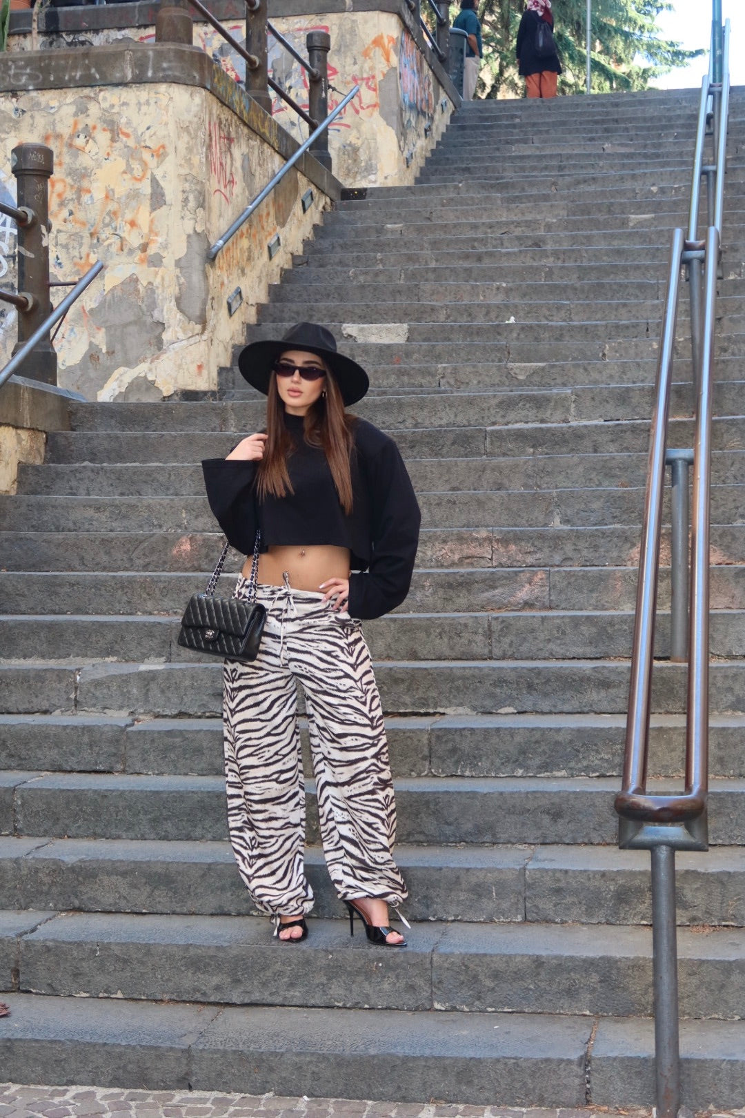Pant Zebra