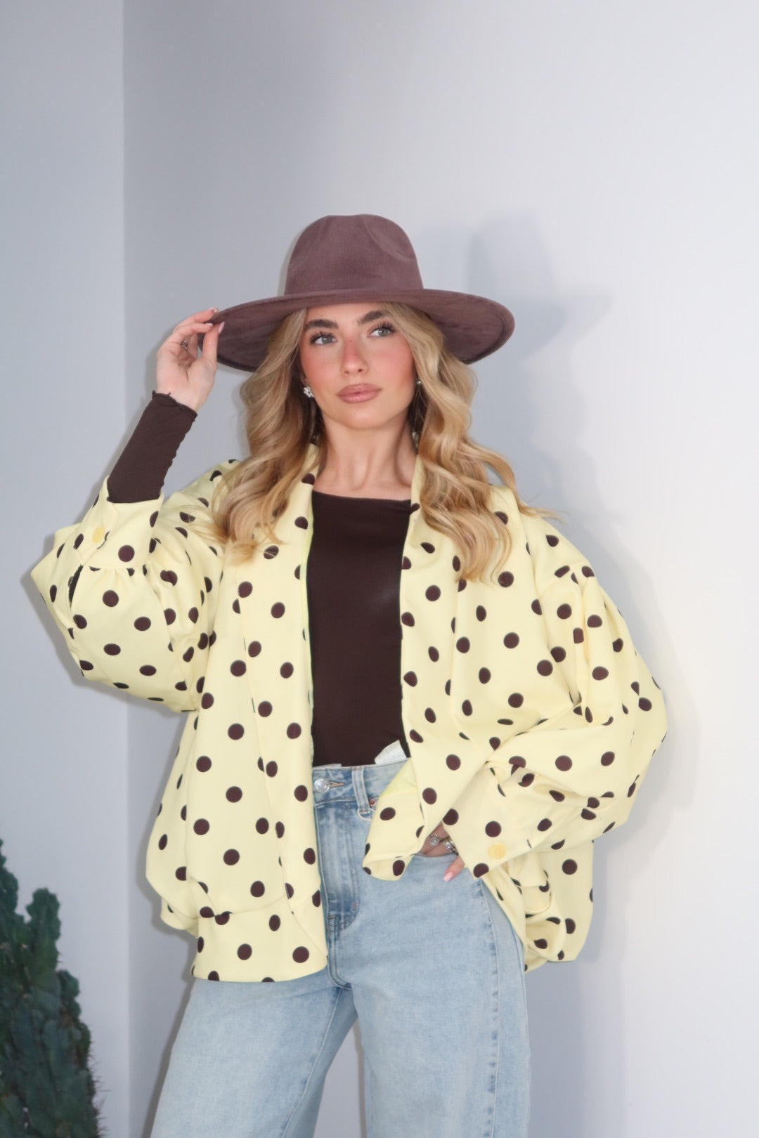 Bomber Pois